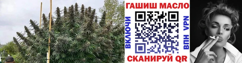 Купить где  Трубчевск  ТГК вейп 