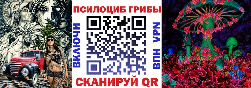 Галлюциногенные грибы Cubensis  Купить закладки  Трубчевск 